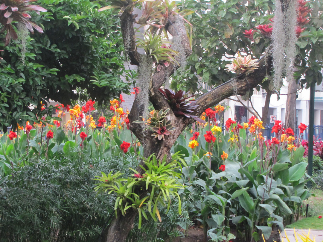 马雷贡2000河滨步道-瓜亚基尔必去景点