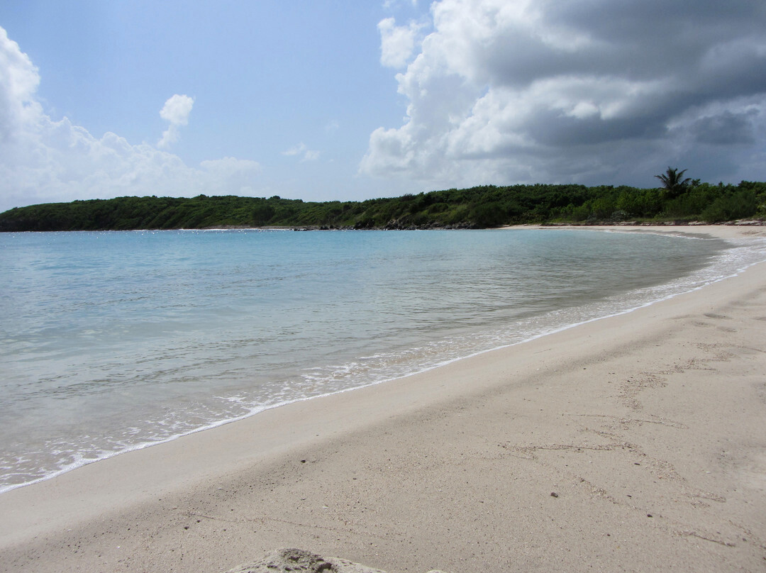 Playa Pata Prieta-Puerto Ferro必去景点