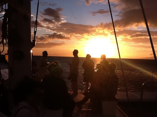 Alii Nui Sailing Charters-玛阿拉也亚必去景点