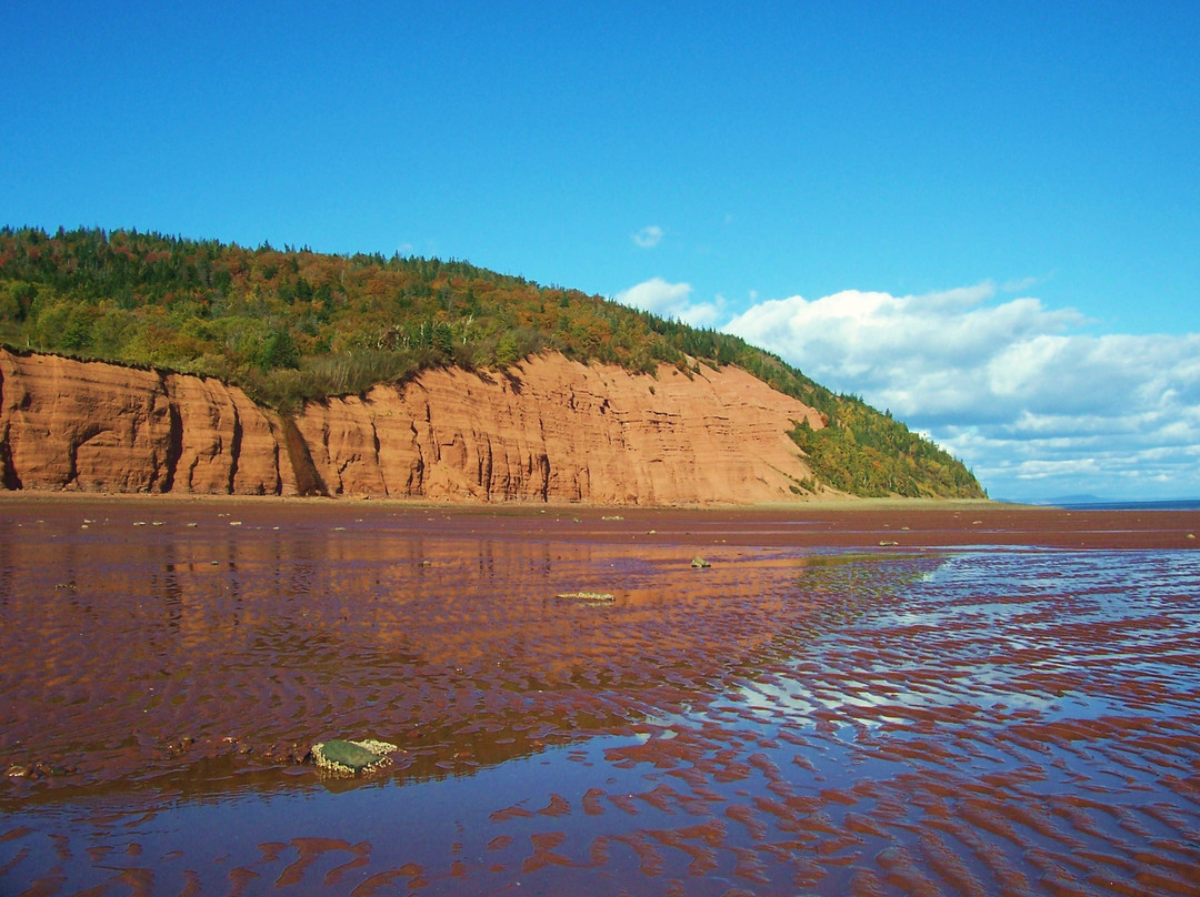 Great E.A.R.T.H Expeditions-哈利法克斯必去景点