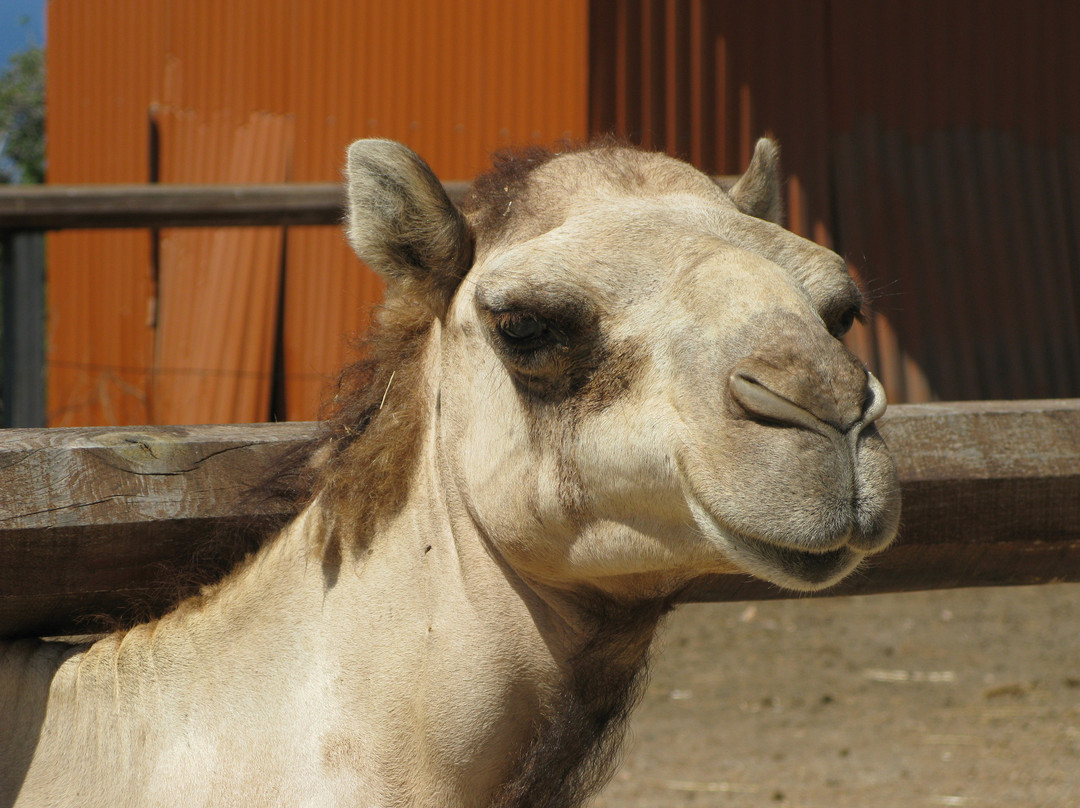 Pafos Zoo-帕福斯必去景点