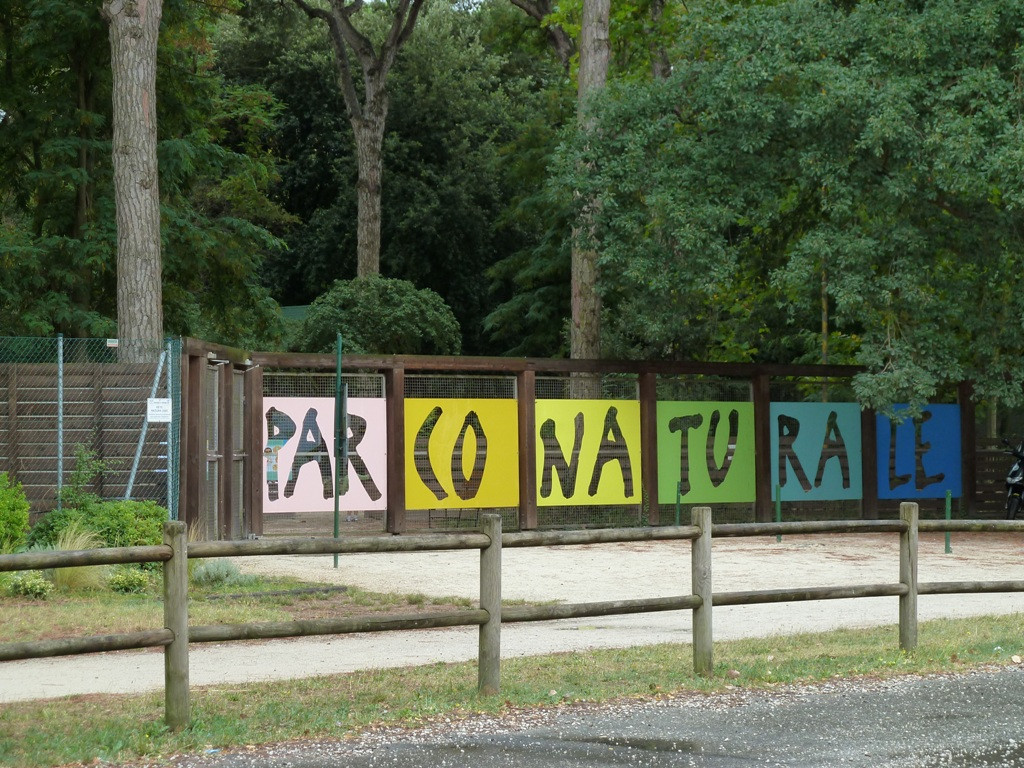 Parco Naturale Di Cervia景点图片