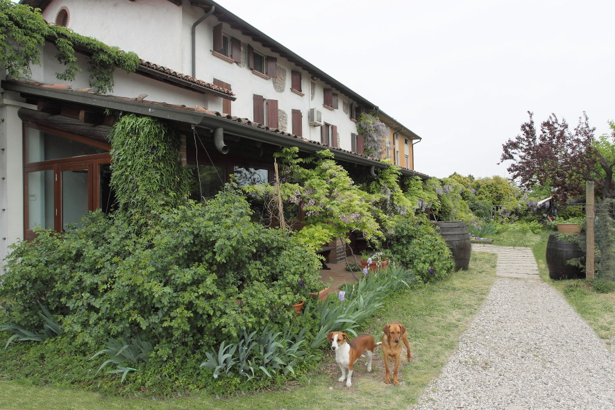 Agriturismo La Pace主图
