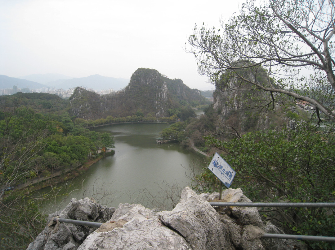 肇庆星湖景点图片