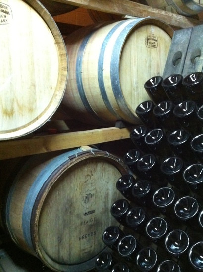 La Bodega Del Garroferal景点图片