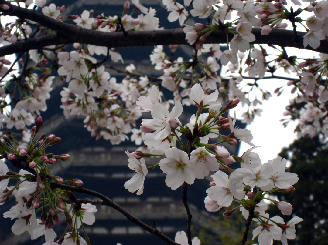 红梅公园-常州市必去景点