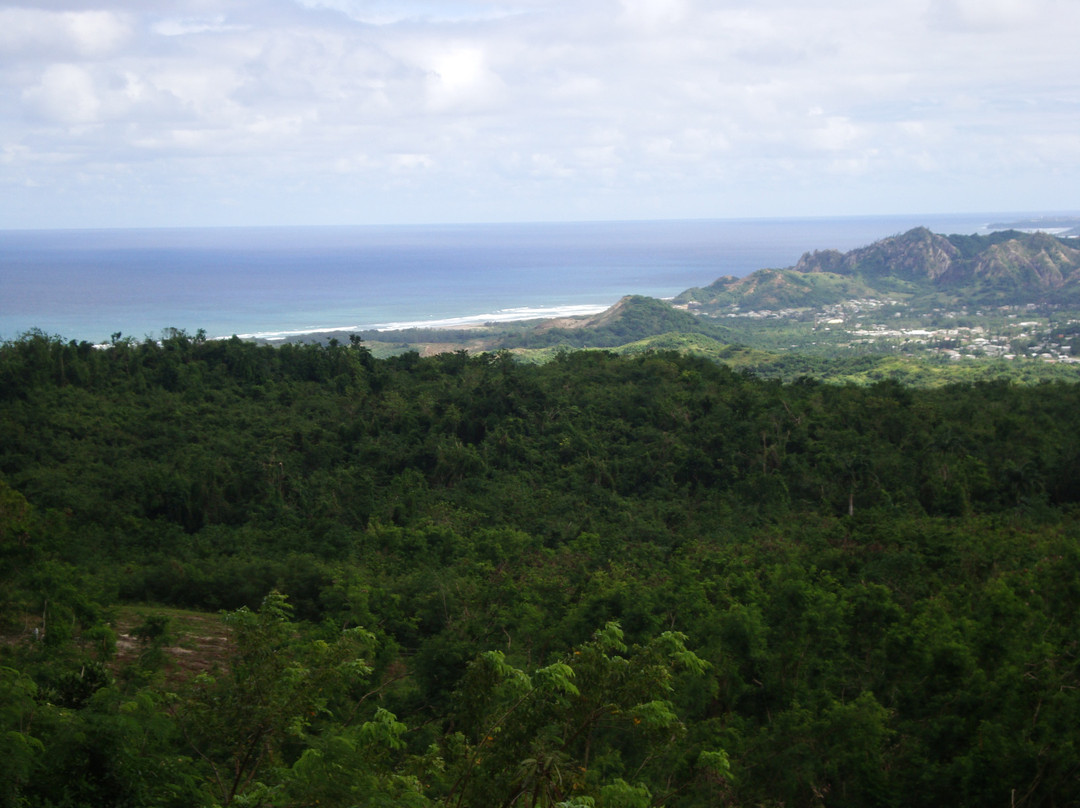 Farley Hill National Park-Saint Peter Parish必去景点
