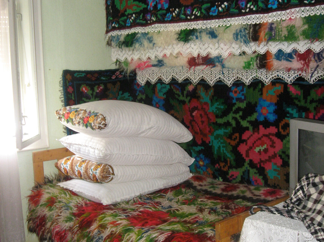 Barsana酒店住宿-Pension Pop