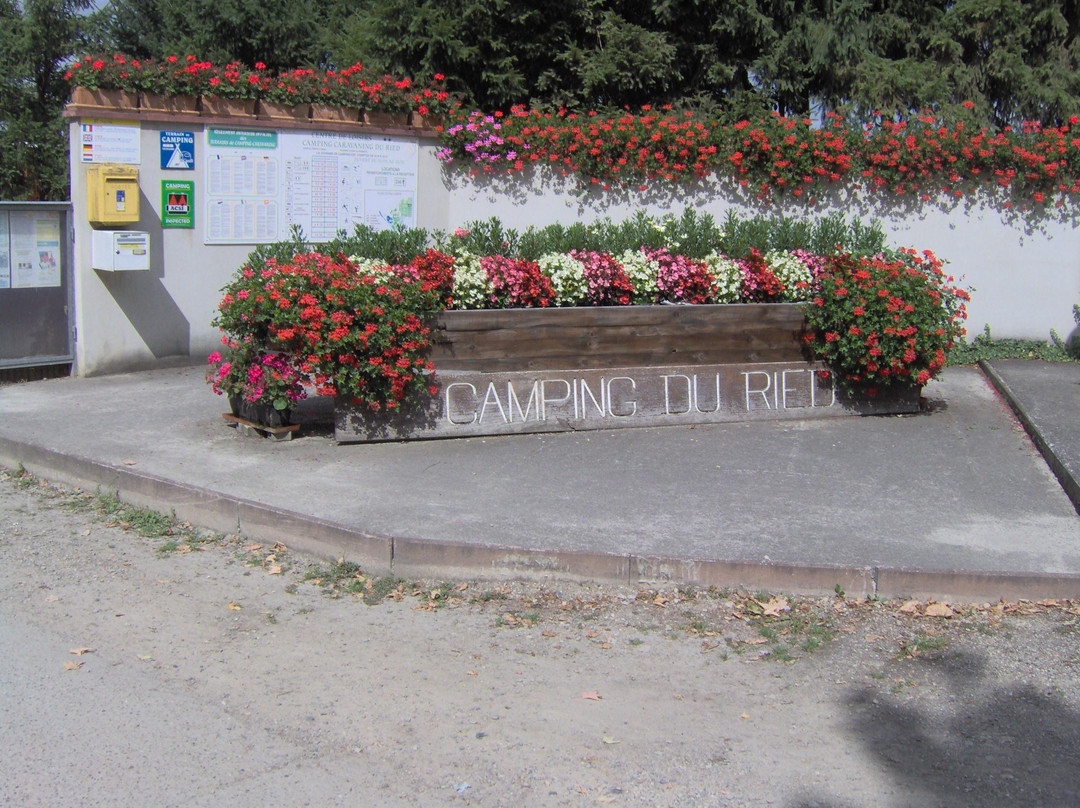 Camping Tohapi - Le Ried