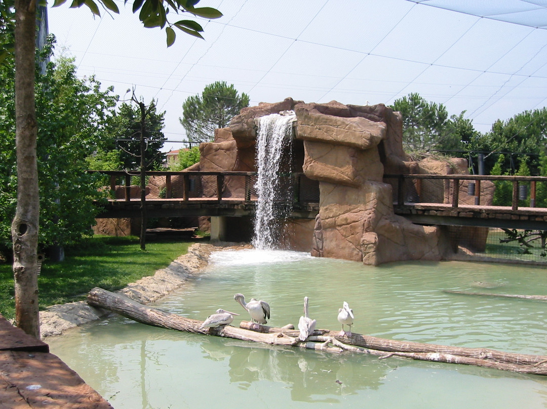 Parco Faunistico Le Cornelle景点图片