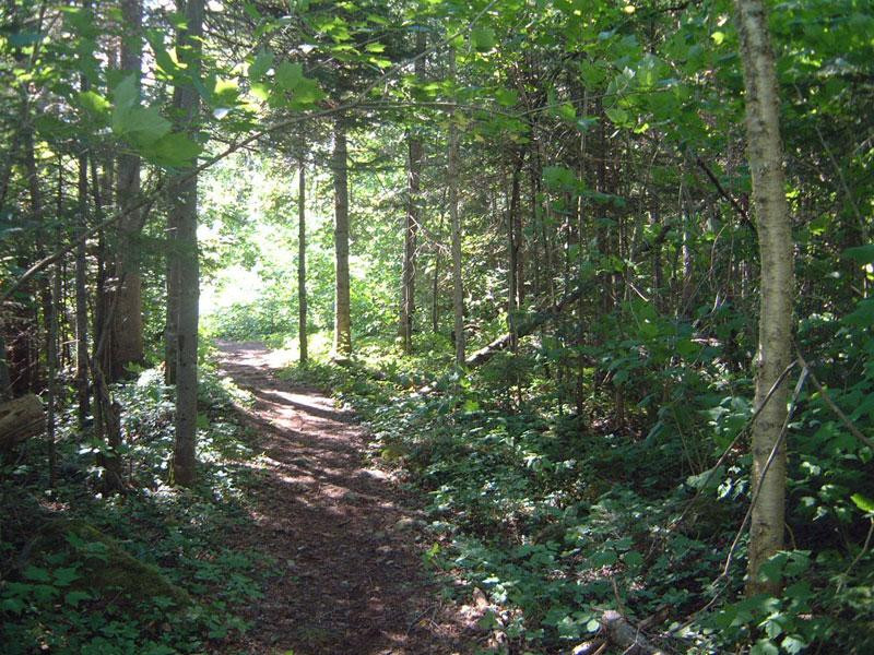 Site recreopatrimonial de la riviere Petit-Saguenay-Petit-Saguenay必去景点