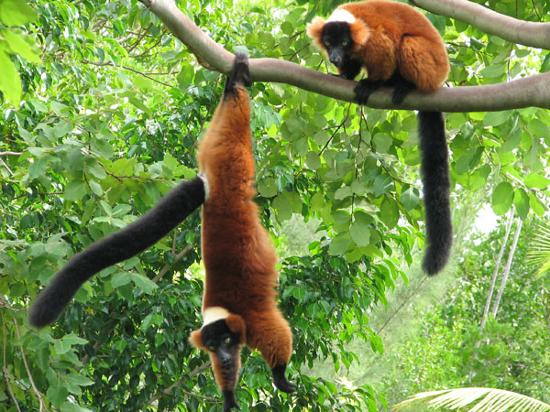 那不勒斯植物园-那不勒斯必去景点