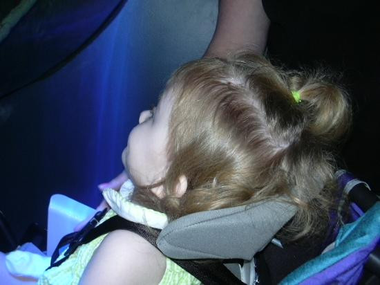 莱利大烟山水族馆-盖林柏格必去景点