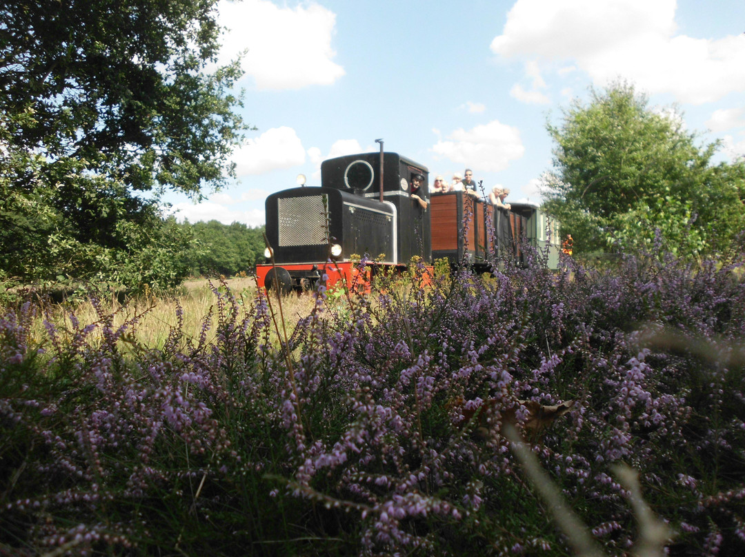 Böhmetal-Kleinbahn Böhmetalbahn-Walsrode必去景点
