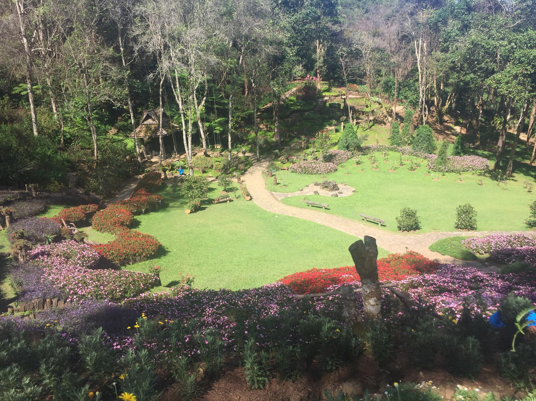 Doi Chang Mub Arboretum-夜发銮必去景点