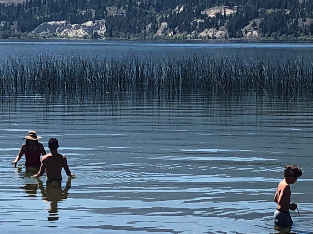 Columbia Lake Provincial Park景点图片