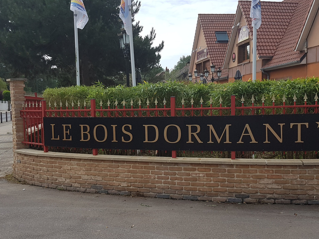 Camping du bois dormant