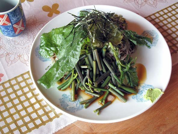 おい菜