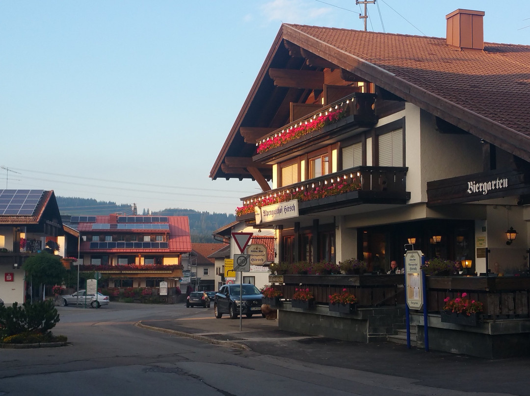 韦尔塔赫河酒店住宿-Alpengasthof Hirsch