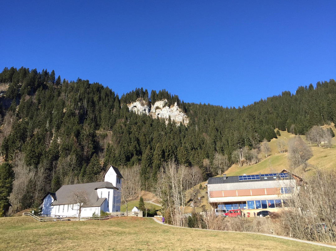 Hotel Alpenrose Ebnit