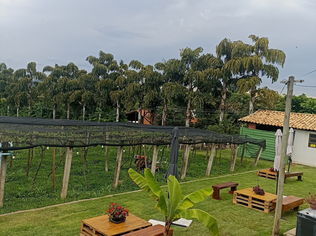 Vinhedo Lacustre-Lago Norte必去景点