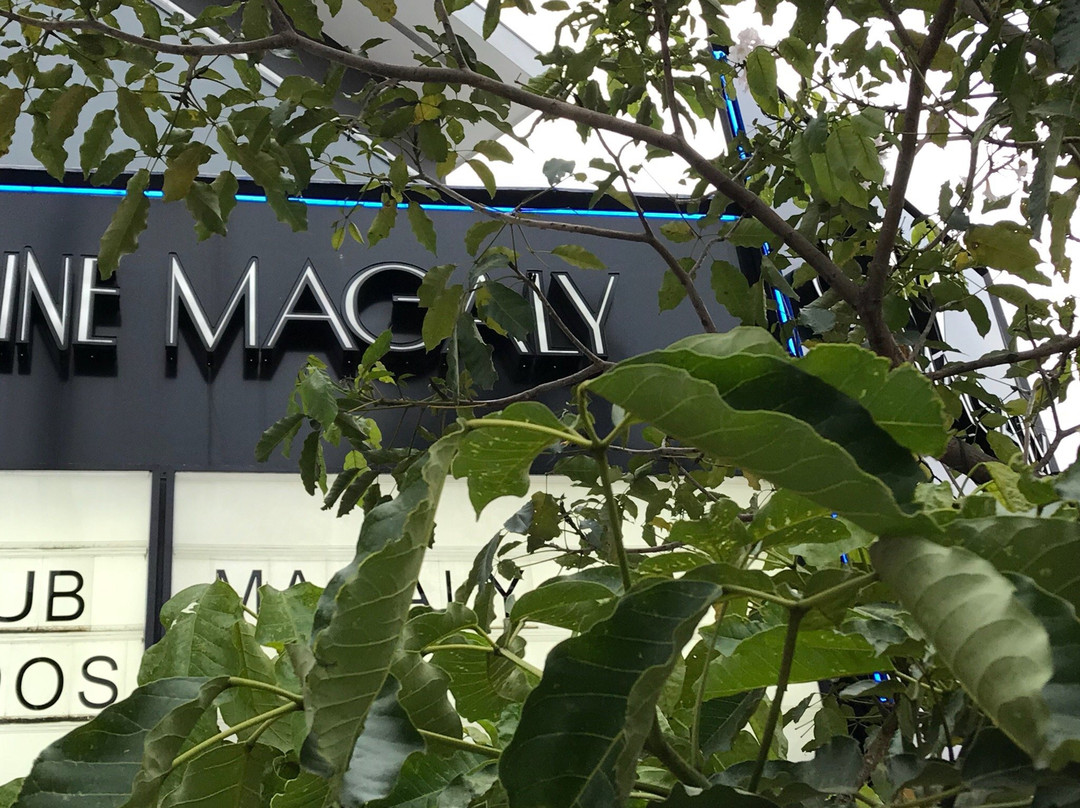 Cine Magaly景点图片