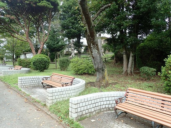 Satomi Park-市川市必去景点