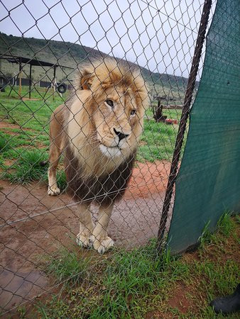 Loebies Gasteplaas-贝拉贝拉必去景点