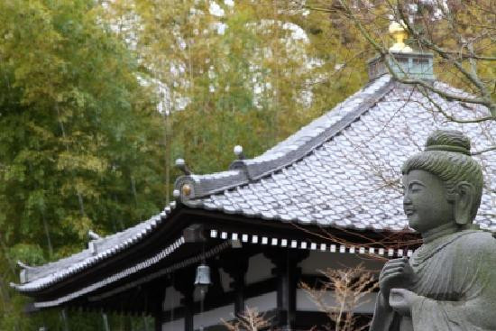 长谷寺景点图片