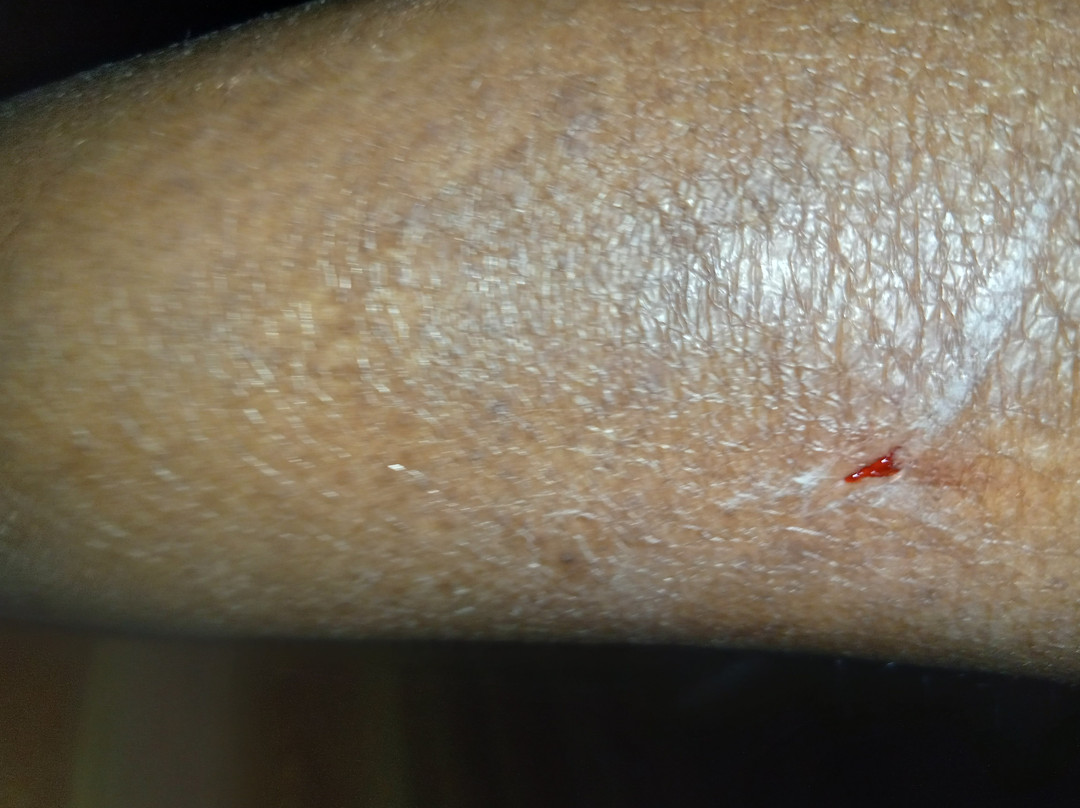 Red Roof Inn Arlington - Entertainment District