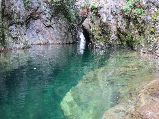 林恩峡谷公园-北温哥华必去景点