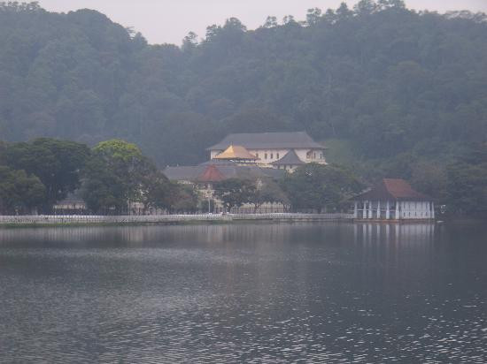 佛牙寺-康提必去景点