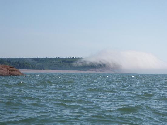 Fundy Trail Provincial Park-St. Martins必去景点
