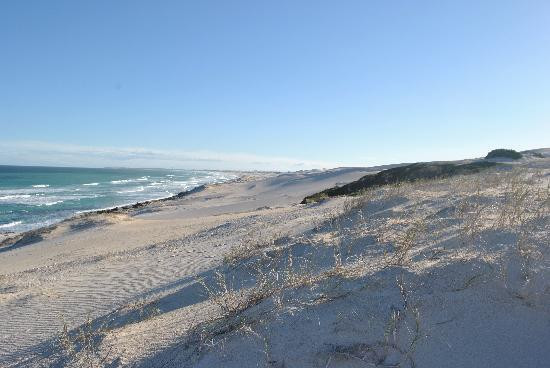 De Hoop Nature Reserve Whale Trail-De Hoop Nature Reserve必去景点