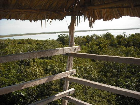 Zona Arqueológica de Muyil-Chunyaxche必去景点