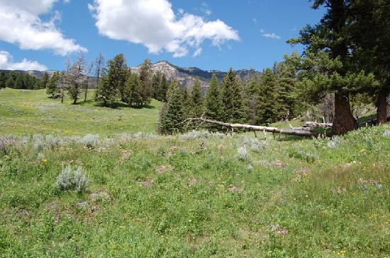 Trout Lake Trail景点图片
