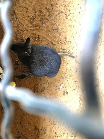 Ferme Mar Chaaya-Broummana必去景点