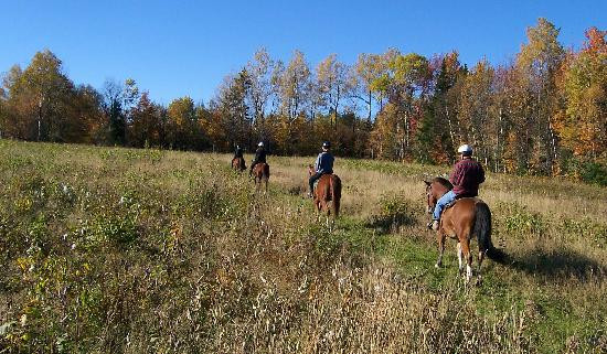 D-N-D Stables Guided Trail Rides-East Burke必去景点