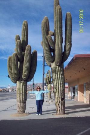 Carey's Castle-约书亚树必去景点
