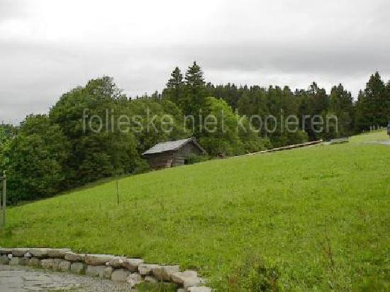 Allgäuer Bergbauernmuseum景点图片
