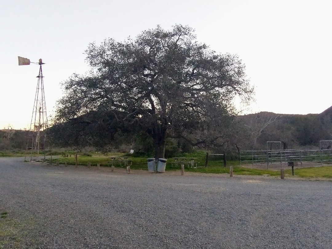 Ronald W. Caspers Wilderness Park-San Juan Capistrano必去景点