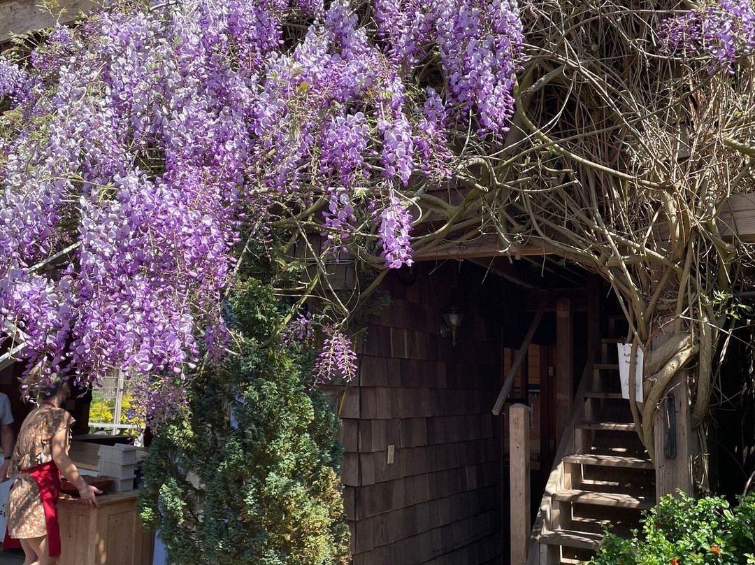 Salt Spring Island Cheese Company景点图片