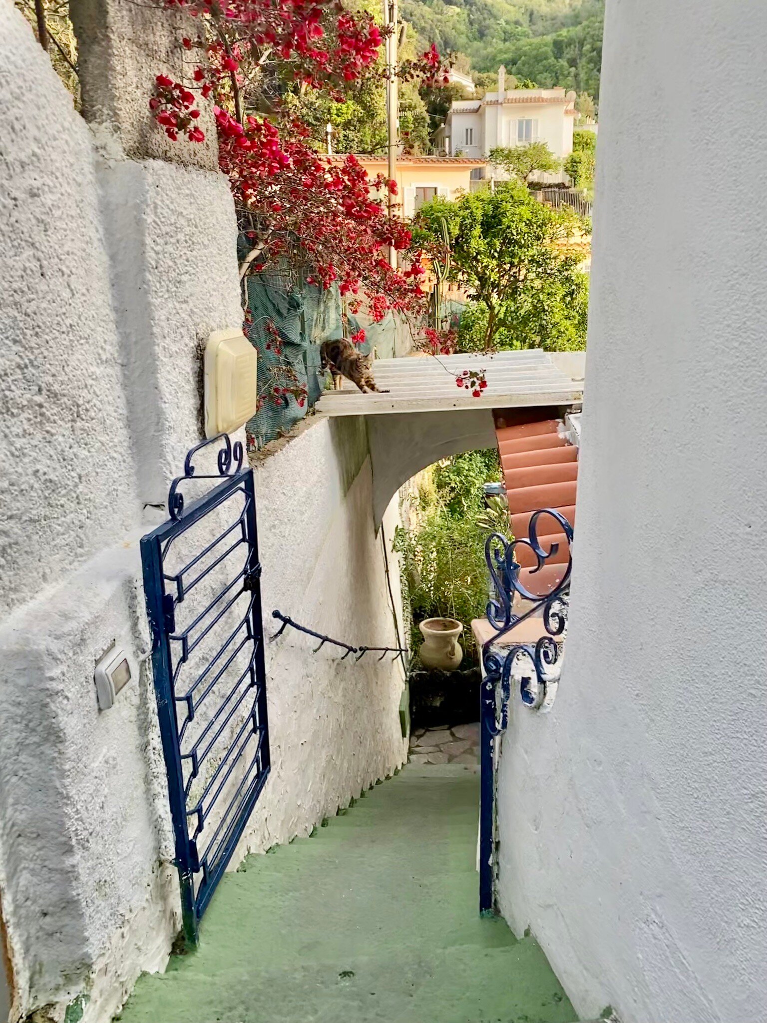 Hotel Villa Fiorentina-官方