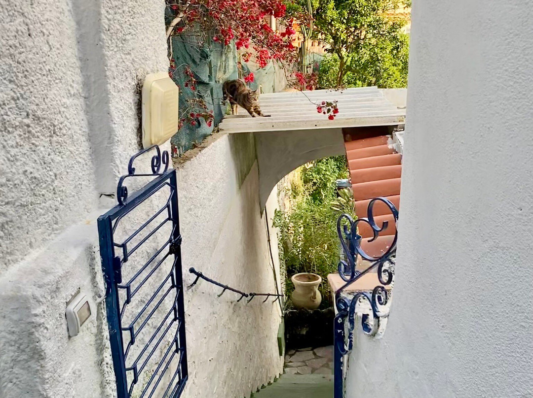 Hotel Villa Fiorentina主图