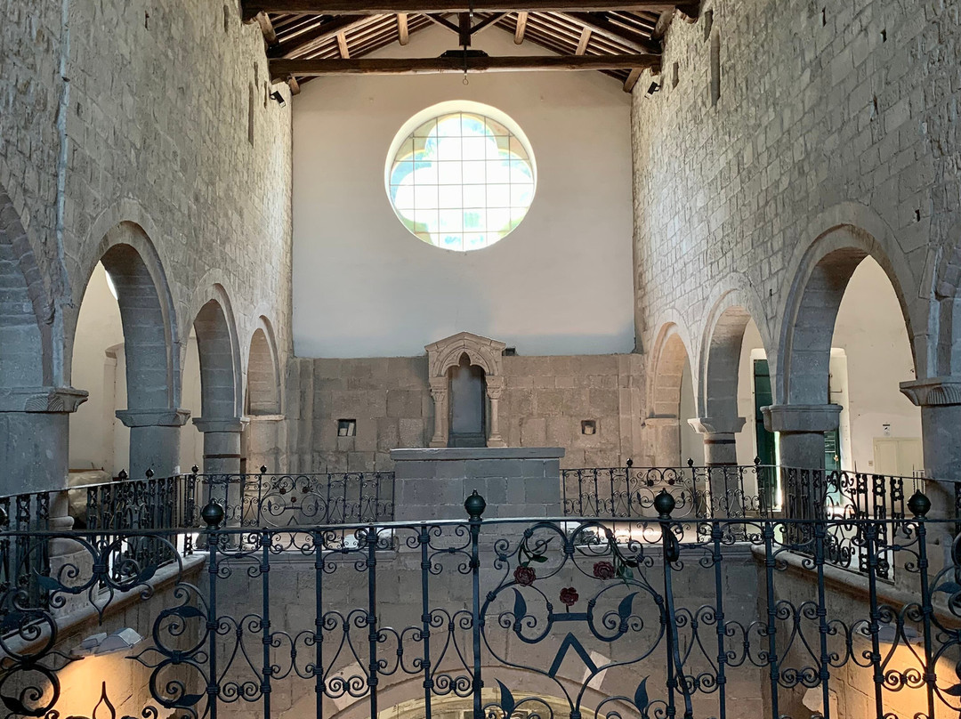 Chiesa di San Flaviano景点图片
