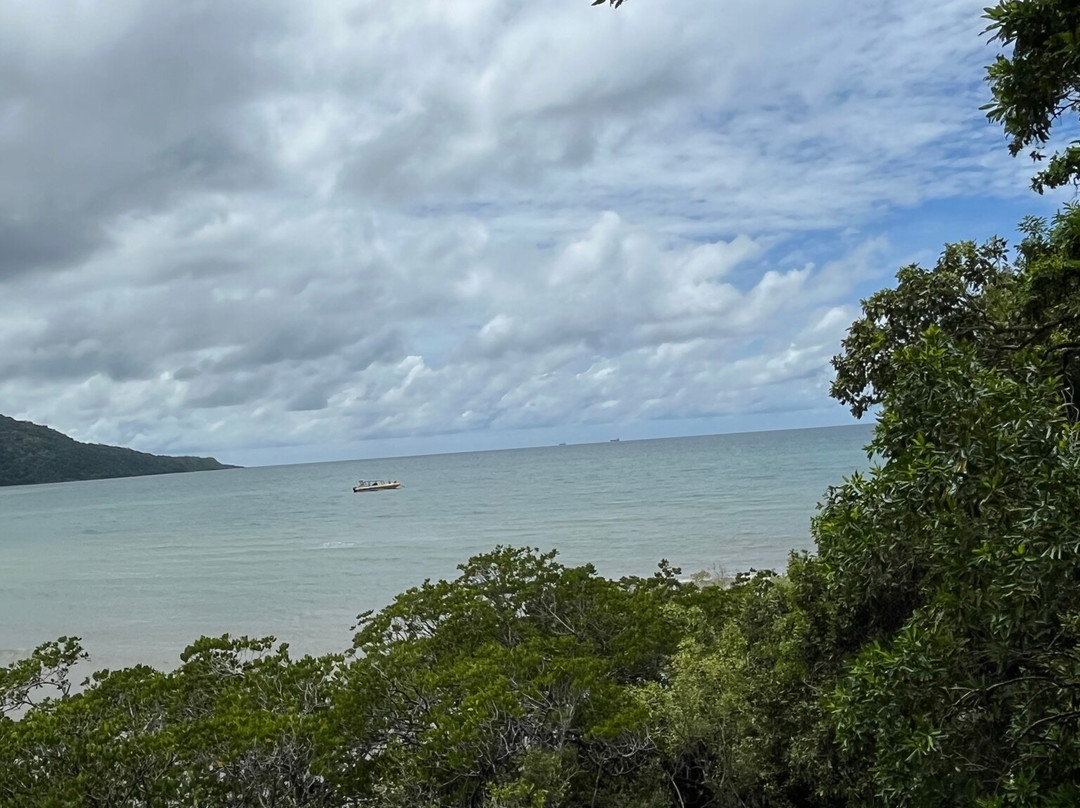 Kulki Boardwalk-Cape Tribulation必去景点