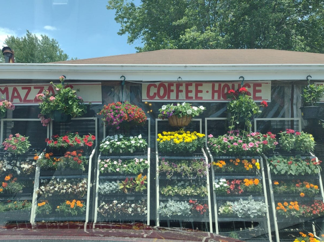 Mazza's Country Market & Coffee House