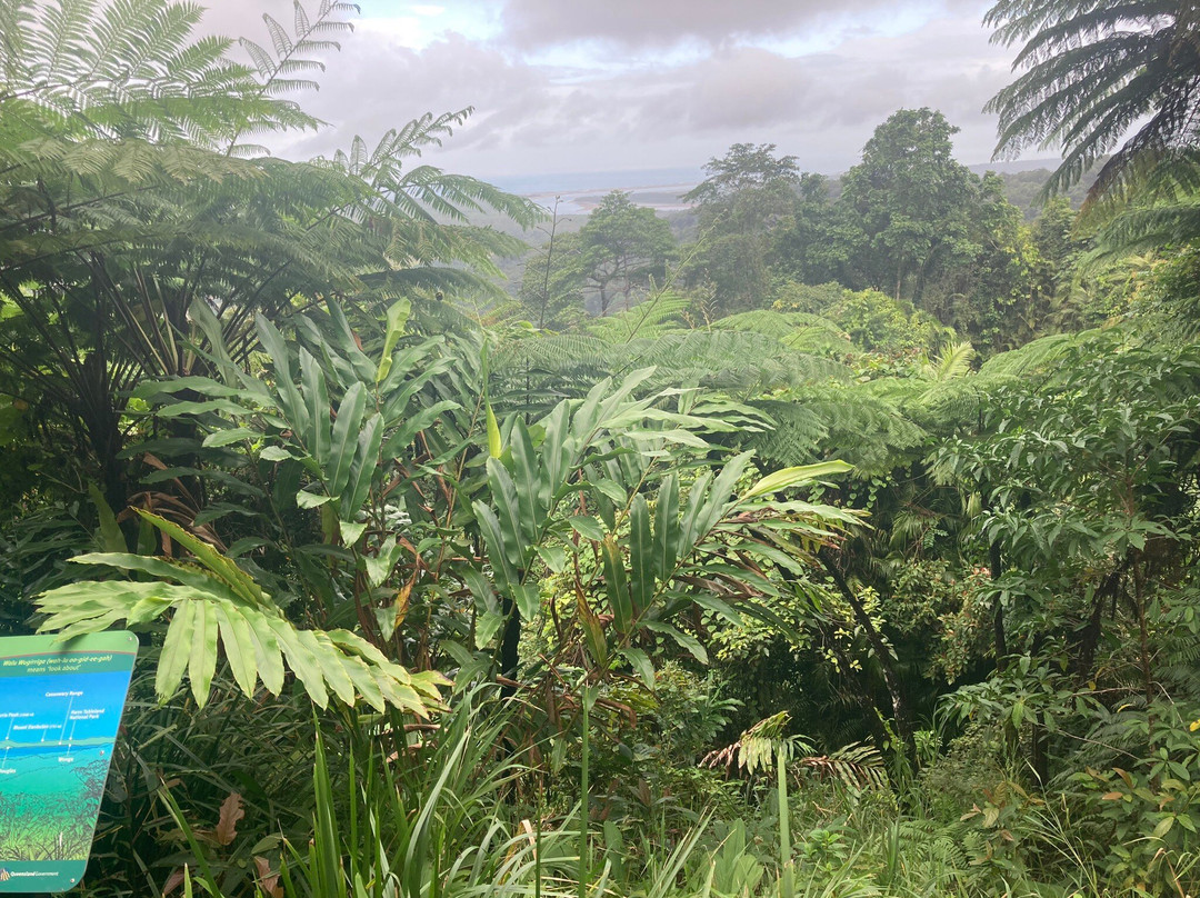 Mount Alexandra Lookout-Cape Tribulation必去景点