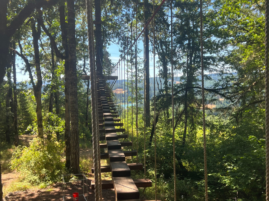 Tree to Tree Adventure Park-Gaston必去景点