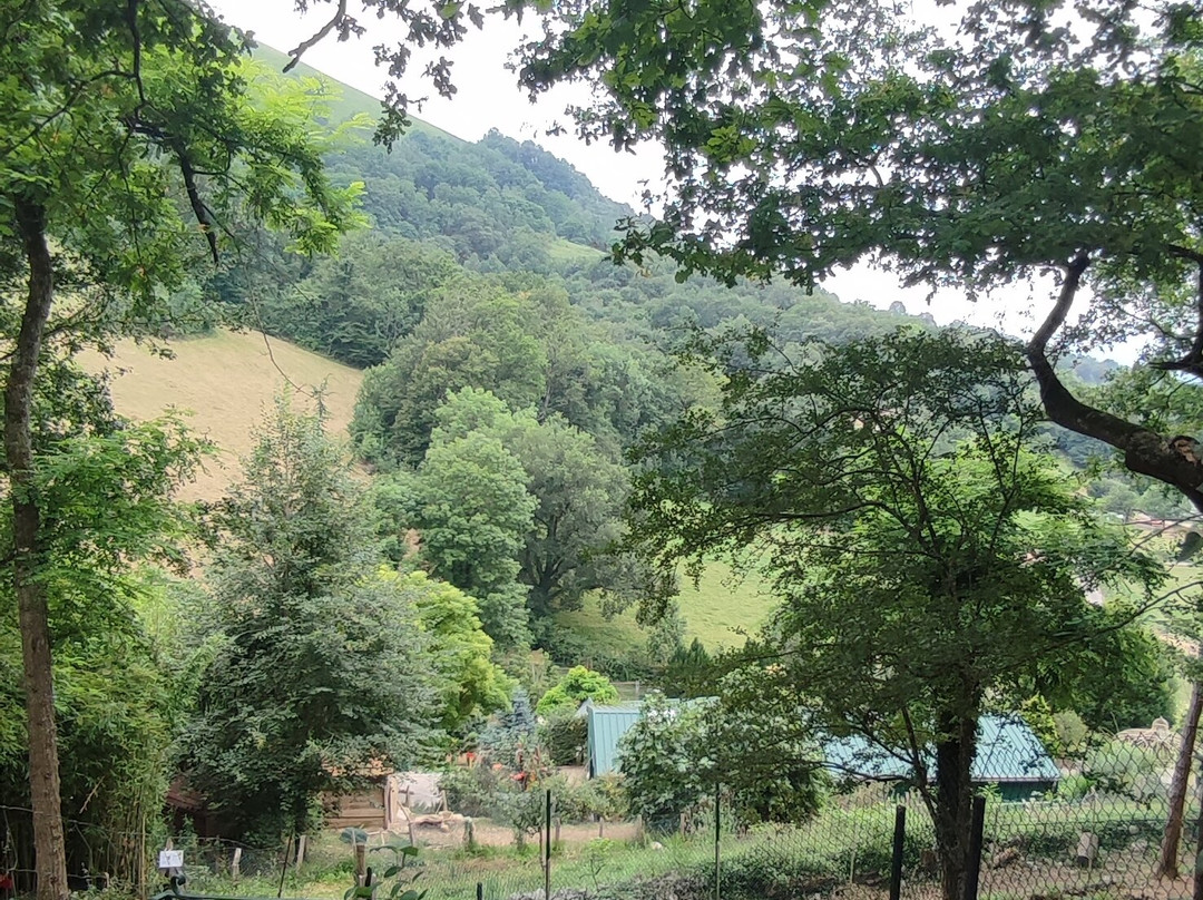 Parc Floral et Animalier Oihanartea景点图片